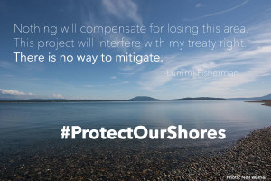 "Nothing will compensate for losing this area. This project will interfere with my treaty right. There is no way to mitigate. - Lummi Fisherman #ProtectOurShores."